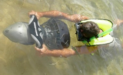 Costa Maya Snorkeling cruise excursion